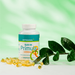 Design-sem-nome--63-